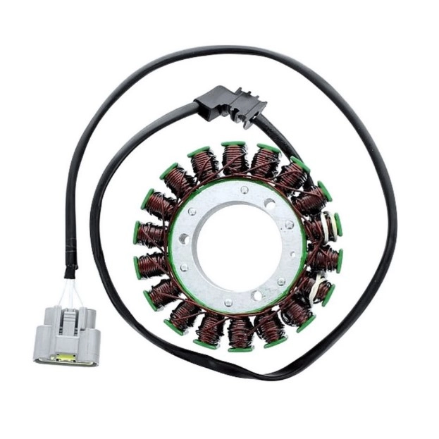 Статор генератора Elektrosport ESG131