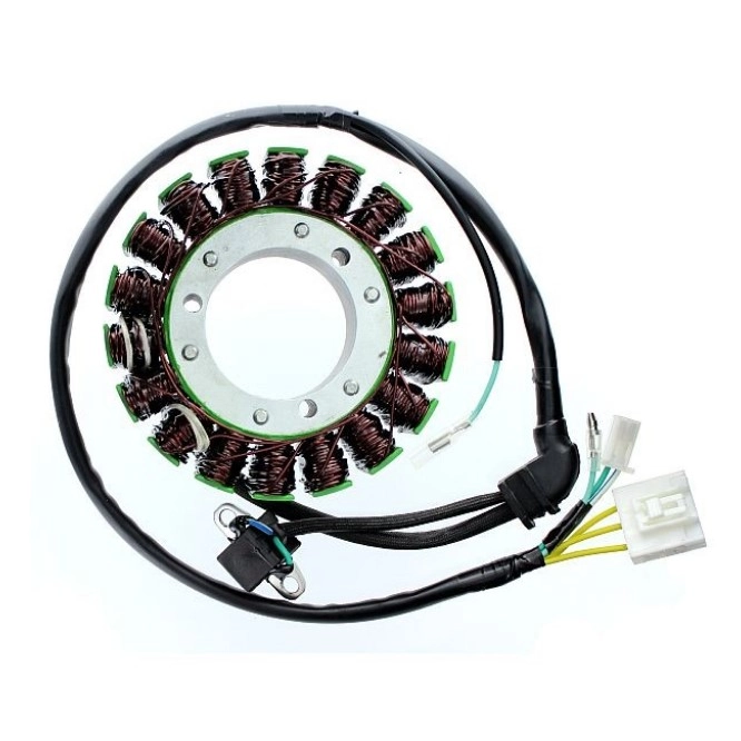 Статор генератора Elektrosport ESG168