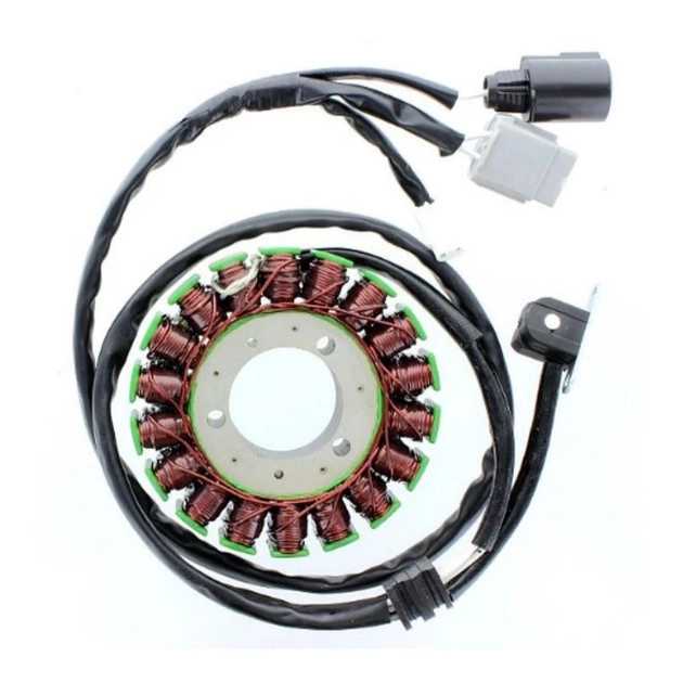 Статор генератора Elektrosport ESG694