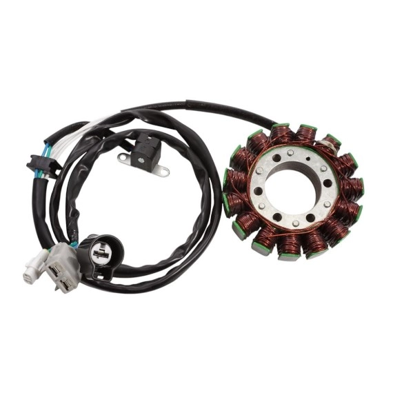 Статор генератора Elektrosport ESG699