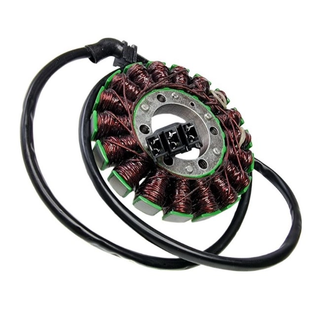 Статор генератора Elektrosport ESG963