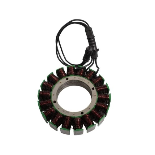 Статор генератора Elektrosport ESK216