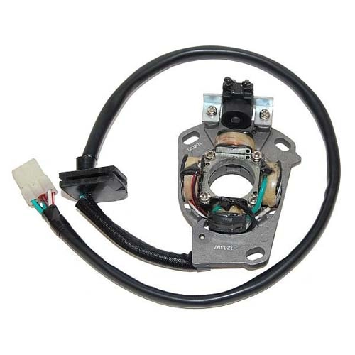 Статор генератора Elektrosport ESC397