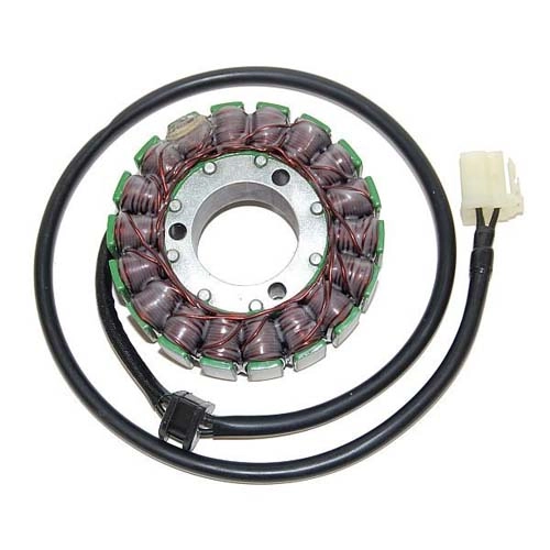 Статор генератора Elektrosport ESG031