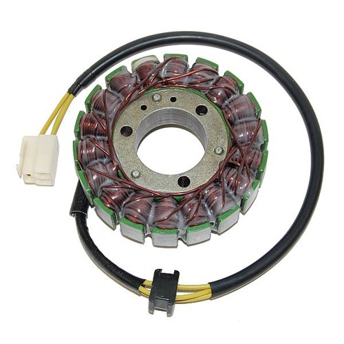 Статор генератора Elektrosport ESG035