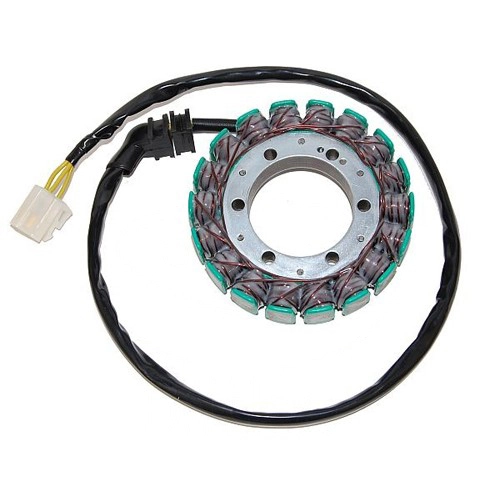 Статор генератора Elektrosport ESG071