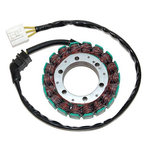 Статор генератора Elektrosport ESG078