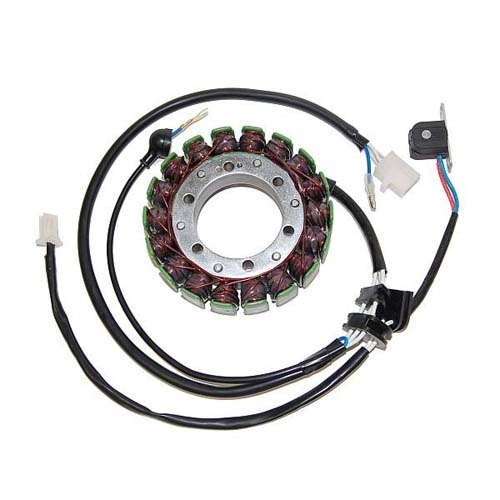 Статор генератора Elektrosport ESG079