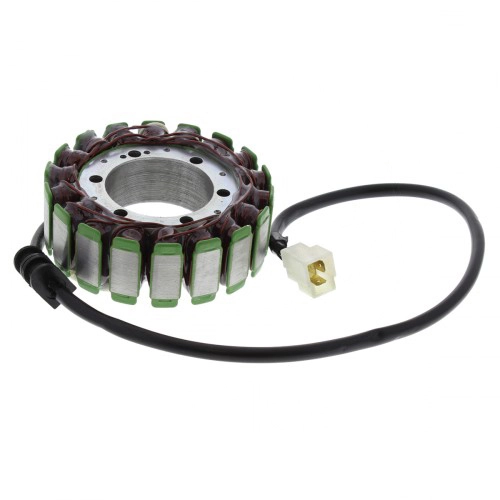 Статор генератора Elektrosport ESG084