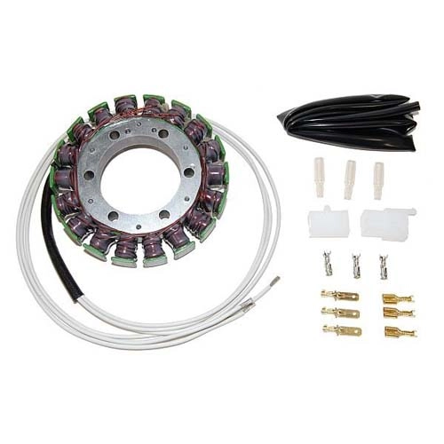 Статор генератора Elektrosport ESG090