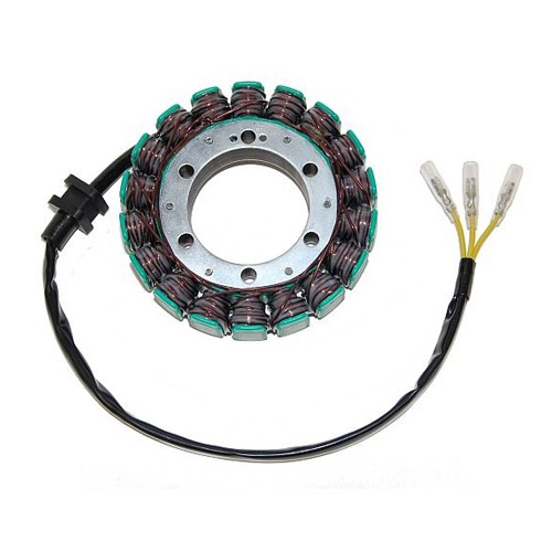 Статор генератора Elektrosport ESG098