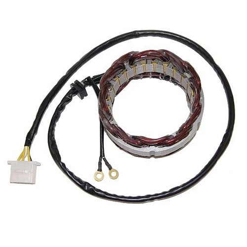 Статор генератора Elektrosport ESG210