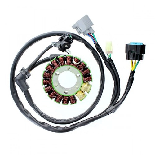 Статор генератора Elektrosport ESG301