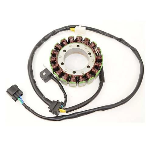 Статор генератора Elektrosport ESG309
