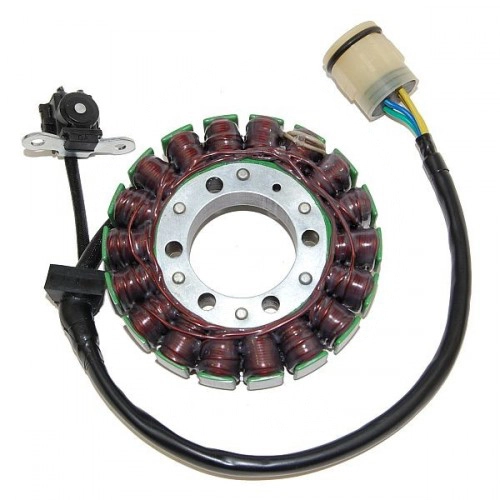 Статор генератора Elektrosport ESG366