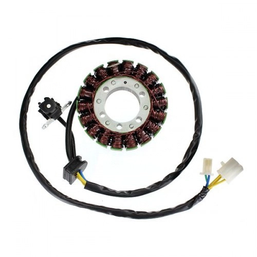Статор генератора Elektrosport ESG385