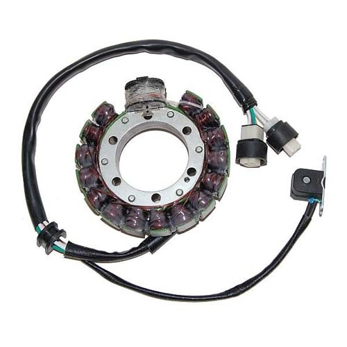 Статор генератора Elektrosport ESG432