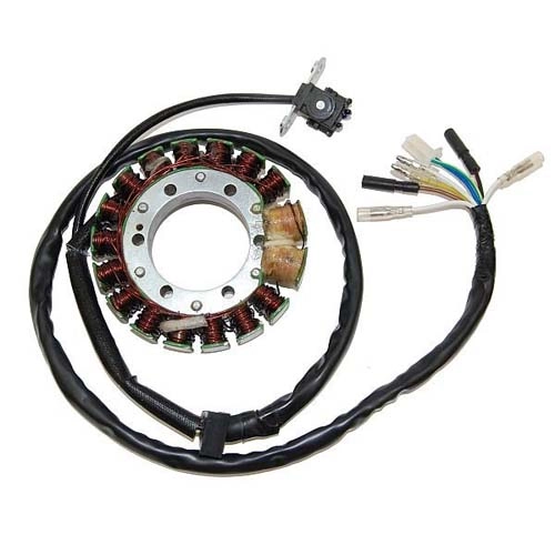 Статор генератора Elektrosport ESG443