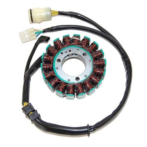 Статор генератора Elektrosport ESG483