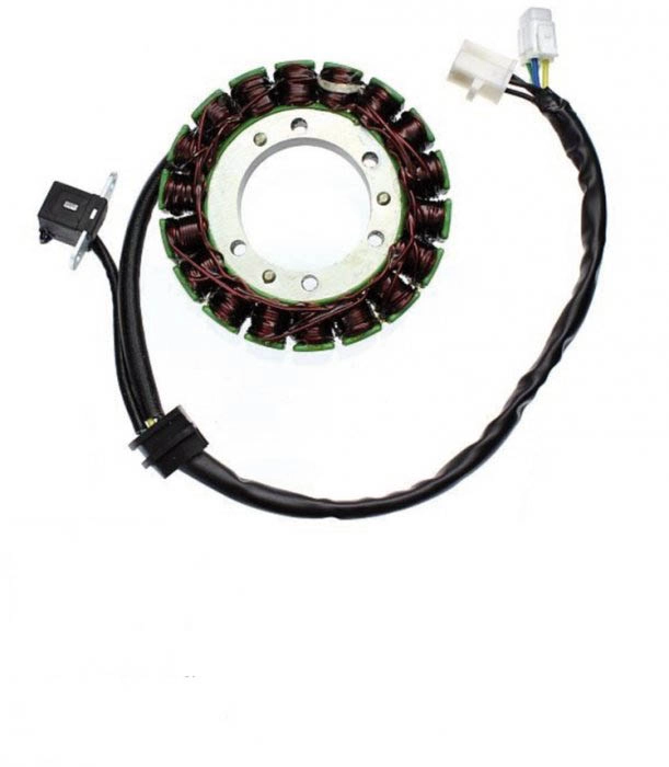 Статор генератора Elektrosport ESG545
