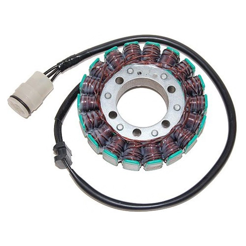 Статор генератора Elektrosport ESG636