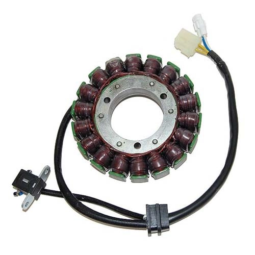 Статор генератора Elektrosport ESG646