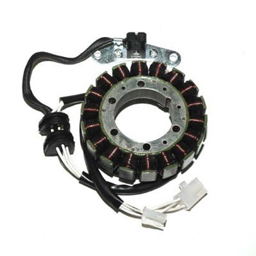 Статор генератора Elektrosport ESG652