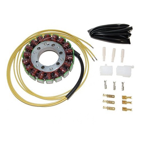 Статор генератора Elektrosport ESG730