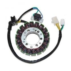 Статор генератора Elektrosport ESG739