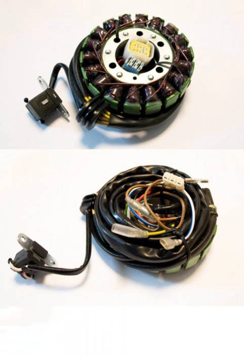 Статор генератора Elektrosport ESG803