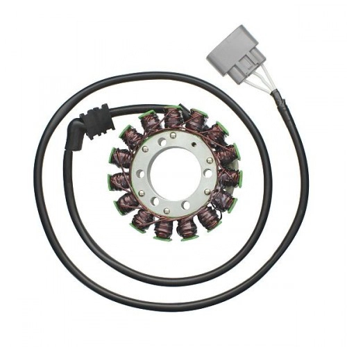 Статор генератора Elektrosport ESG809