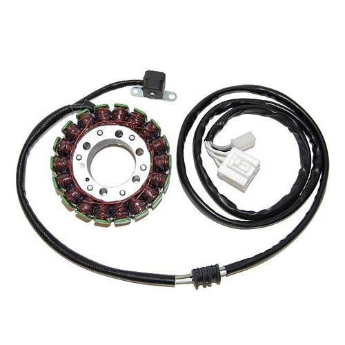 Статор генератора Elektrosport ESG836