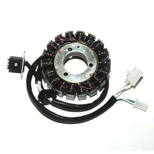 Статор генератора Elektrosport ESG842