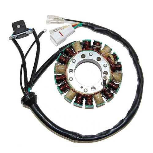 Статор генератора Elektrosport ESG870