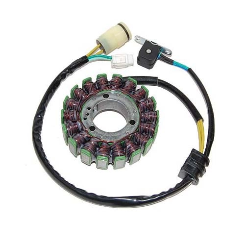 Статор генератора Elektrosport ESG950