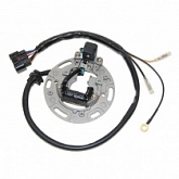 Статор генератора Elektrosport ESC1366