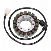 Статор генератора Elektrosport ESG081