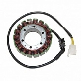 Статор генератора Elektrosport ESG082
