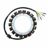 Статор генератора Elektrosport ESG100