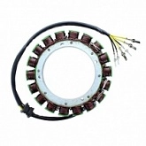 Статор генератора Elektrosport ESG100