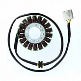 Статор генератора Elektrosport ESG127