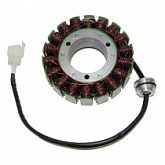 Статор генератора Elektrosport ESG165