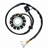 Статор генератора Elektrosport ESG169