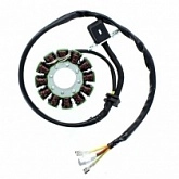 Статор генератора Elektrosport ESG169
