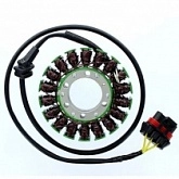 Статор генератора Elektrosport ESG306