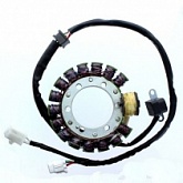 Статор генератора Elektrosport ESG436