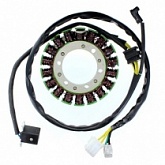 Статор генератора Elektrosport ESG460
