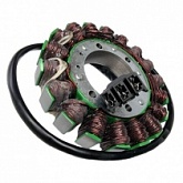 Статор генератора Elektrosport ESG493