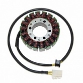 Статор генератора Elektrosport ESG701