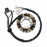 Статор генератора Elektrosport ESG871